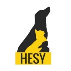 Hesy logo